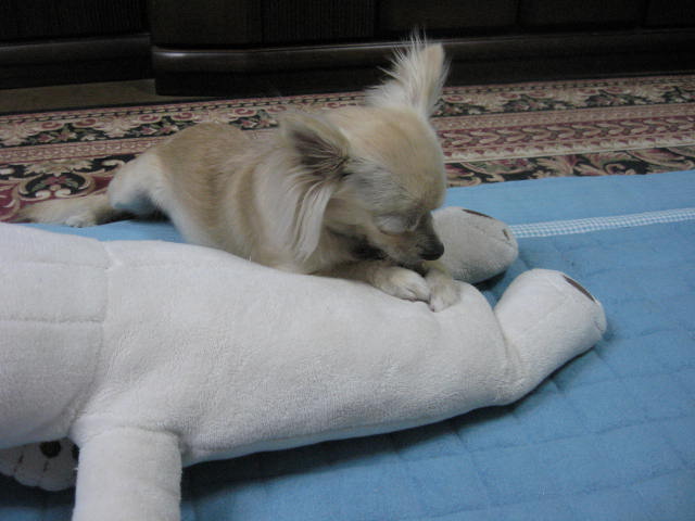 d0070473_9541061.jpg