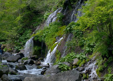 b0078874_16101156.jpg