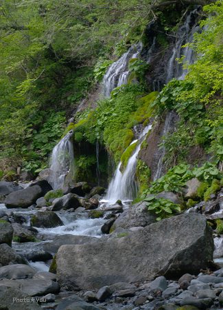 b0078874_16103236.jpg