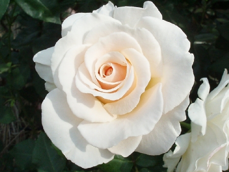 b0092475_2157669.jpg