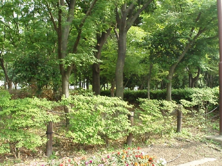 b0092475_21583367.jpg