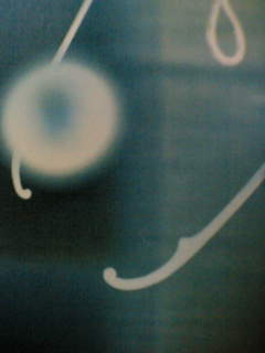 f0100480_19254980.jpg