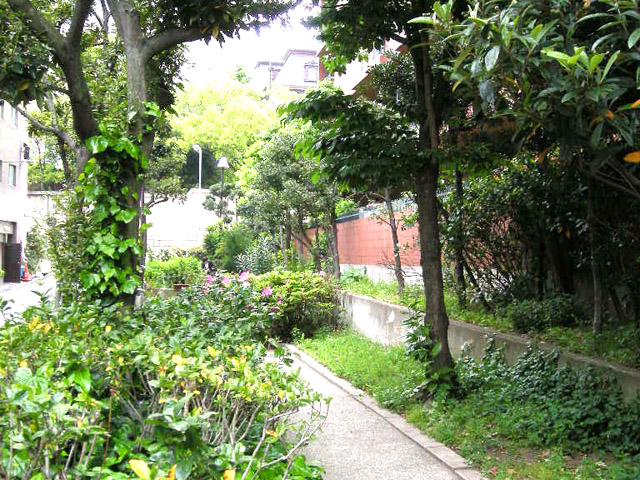 c0158081_274015.jpg