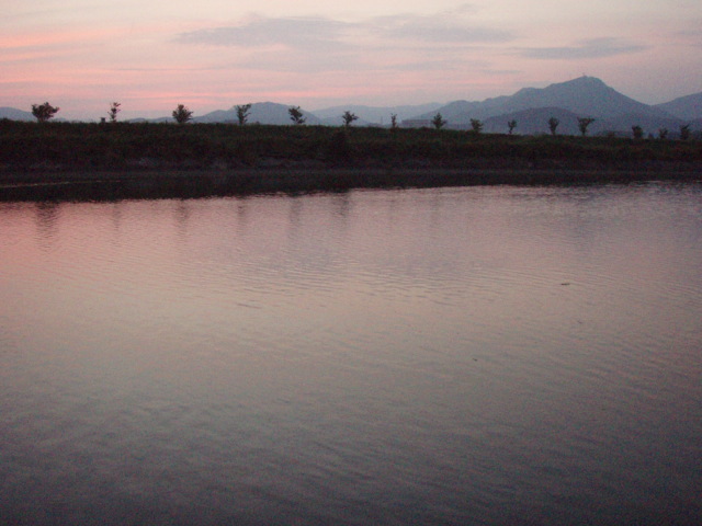 e0125483_125914.jpg
