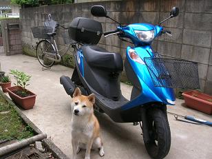 c0123890_20384623.jpg