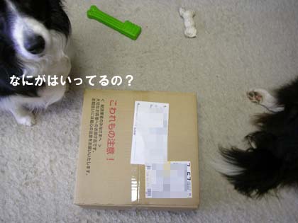 f0114893_955283.jpg