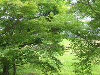 d0034894_16255196.jpg