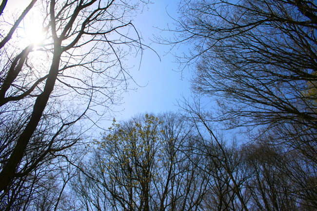 f0001895_2039517.jpg