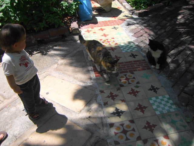 d0055898_1143738.jpg