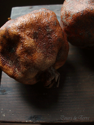 c0129702_1956061.gif
