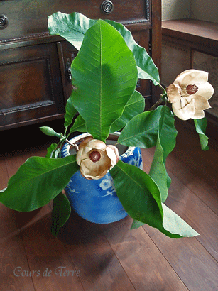 c0129702_202326.gif