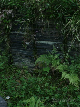 c0129702_205248.gif