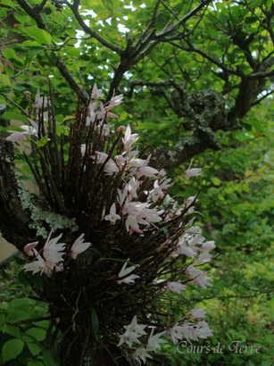 c0129702_2091452.gif