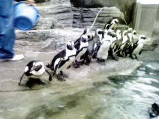 e0128702_22385525.jpg
