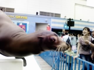 e0128702_2238713.jpg