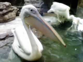 e0128702_22392515.jpg