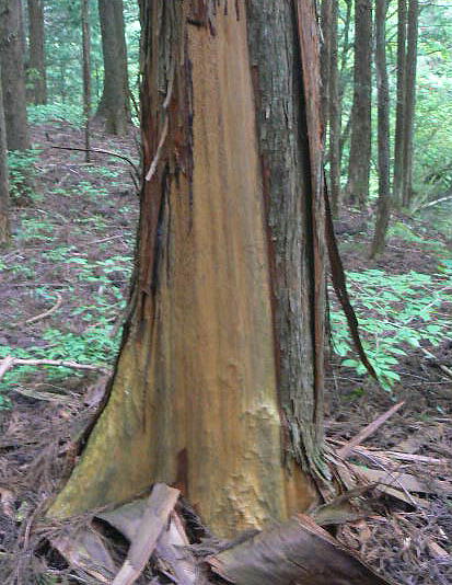f0164503_21355526.jpg