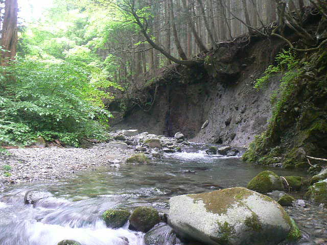 f0164503_2222756.jpg