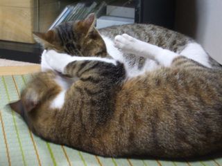 c0103205_2146414.jpg
