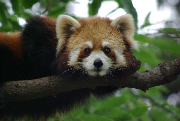 d0072106_20314859.jpg