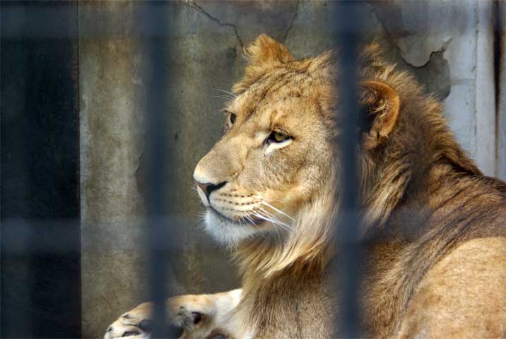 d0072106_2044829.jpg