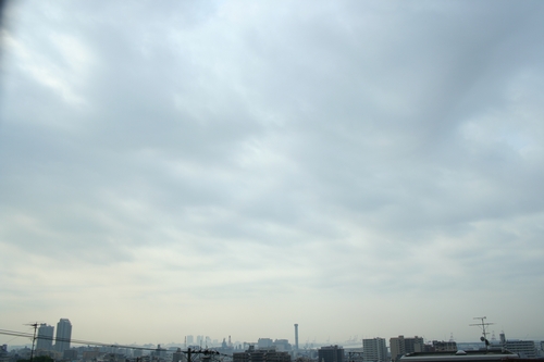 d0131006_23335447.jpg