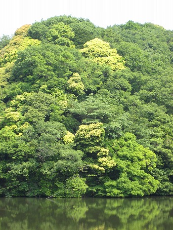 d0145806_0245590.jpg