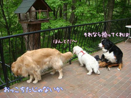 f0064906_17195864.jpg