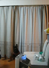 c0113109_21374821.gif