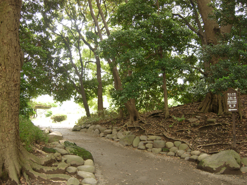b0012010_21504985.jpg