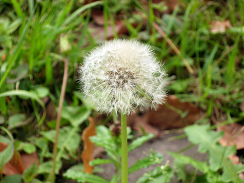 b0012010_2156555.jpg