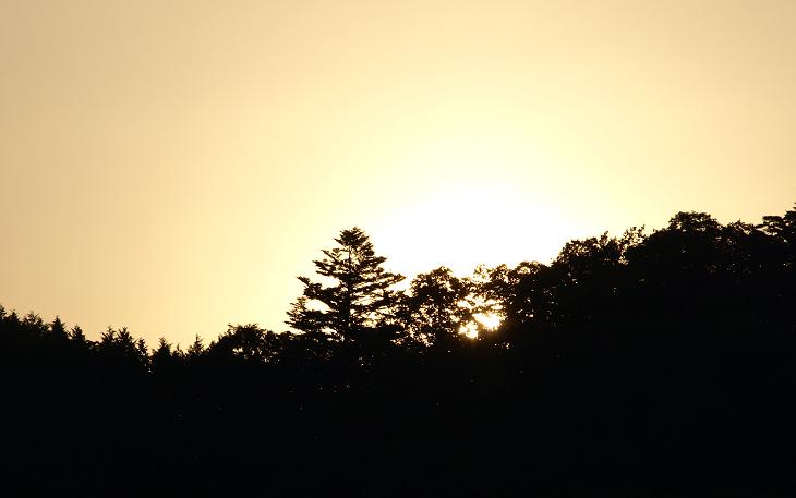 c0086014_633287.jpg