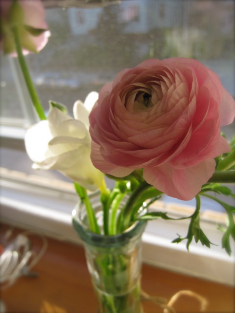 c0120817_13471182.jpg