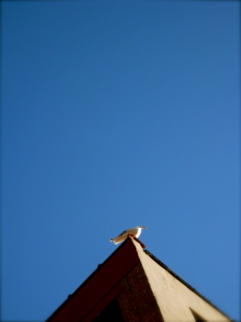 c0120817_9505966.jpg