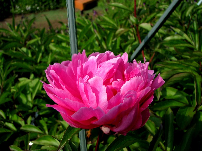 a0004023_18361086.jpg