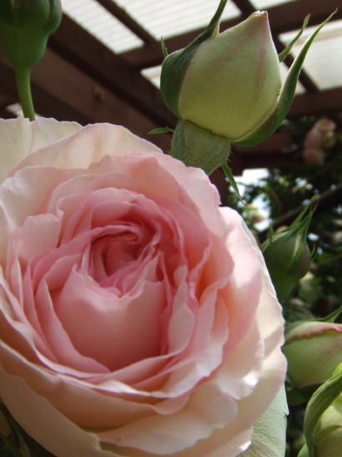 c0110930_23325570.jpg