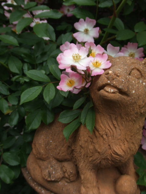 c0110930_23345988.jpg
