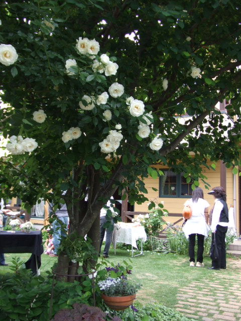 c0110930_23465110.jpg