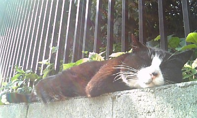 c0154630_2084180.jpg