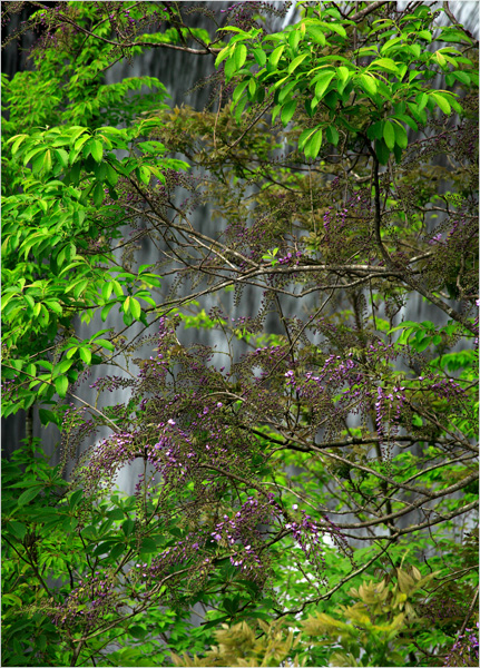 d0147530_623440.jpg