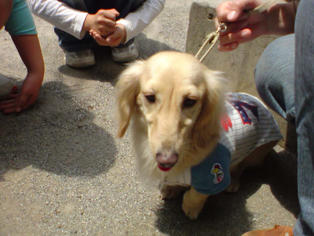 c0117831_2036211.jpg