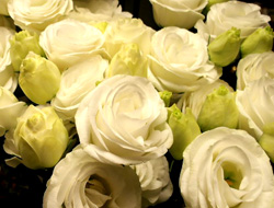 b0035734_1954378.jpg