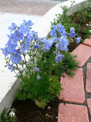 f0061334_22273441.jpg