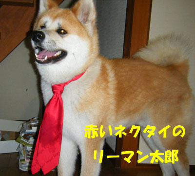 f0008935_0434935.jpg