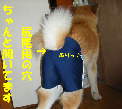 f0008935_0442679.jpg