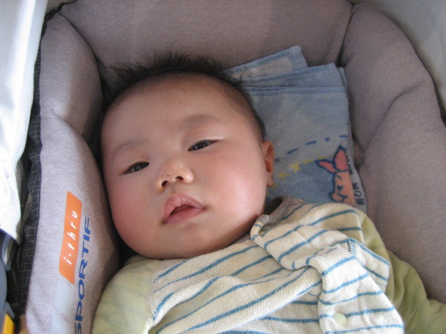 f0025741_1502742.jpg
