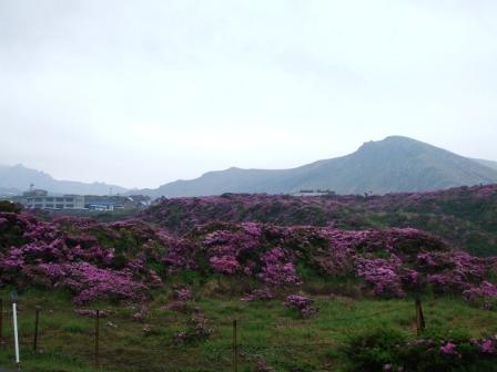 c0052042_21132550.jpg