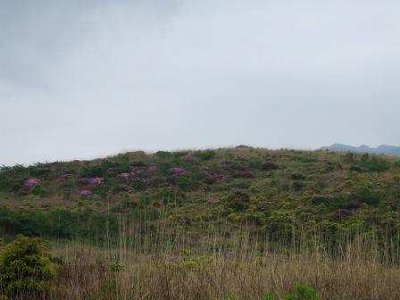 c0052042_21133815.jpg