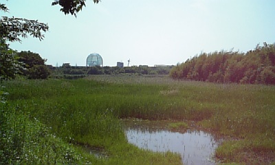 d0058543_1042740.jpg