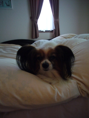 e0100046_21555087.jpg